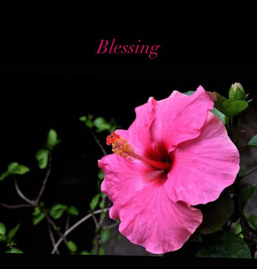 Blessing House Daire Napoli Dış mekan fotoğraf