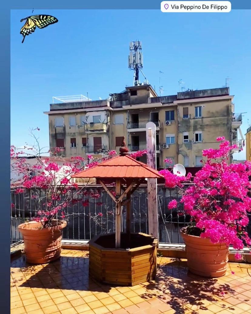Blessing House Daire Napoli Dış mekan fotoğraf